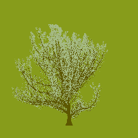 greenshift tree
