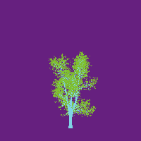 greenshift tree
