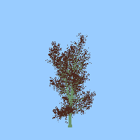 greenshift tree