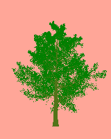 greenshift tree