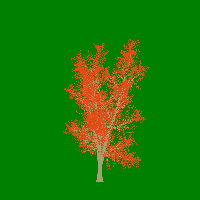 greenshift tree