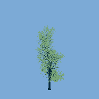 greenshift tree