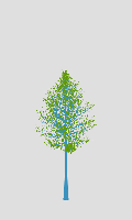 greenshift tree