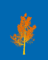 greenshift tree