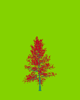 greenshift tree