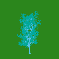 greenshift tree