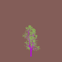 greenshift tree