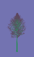 greenshift tree