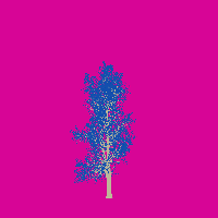 greenshift tree