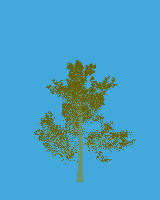 greenshift tree