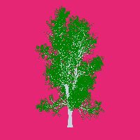 greenshift tree