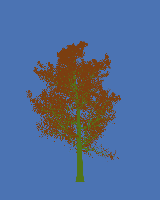 greenshift tree