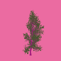 greenshift tree