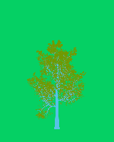 greenshift tree