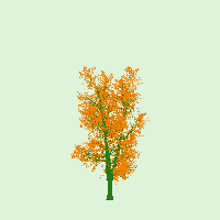 greenshift tree