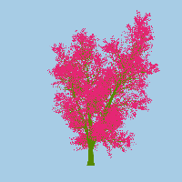 greenshift tree