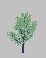 greenshift tree