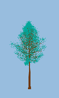 greenshift tree
