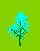 greenshift tree