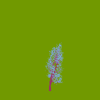 greenshift tree