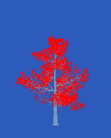 greenshift tree