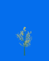greenshift tree
