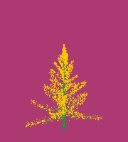 greenshift tree
