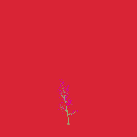 greenshift tree