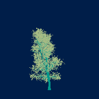 greenshift tree