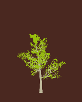 greenshift tree