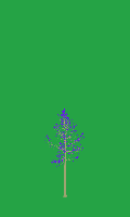 greenshift tree