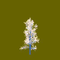 greenshift tree
