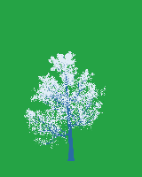 greenshift tree