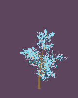 greenshift tree