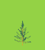 greenshift tree