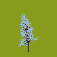 greenshift tree
