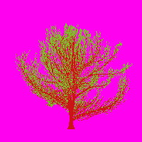 greenshift tree