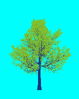 greenshift tree