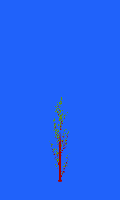 greenshift tree
