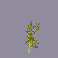 greenshift tree
