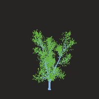 greenshift tree