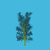 greenshift tree