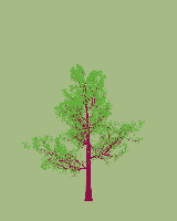 greenshift tree