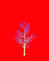 greenshift tree