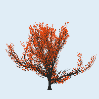 greenshift tree