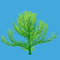 greenshift tree