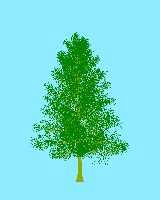 greenshift tree