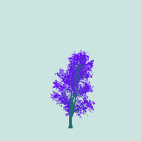 greenshift tree