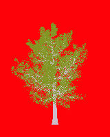 greenshift tree