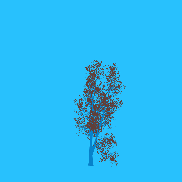 greenshift tree